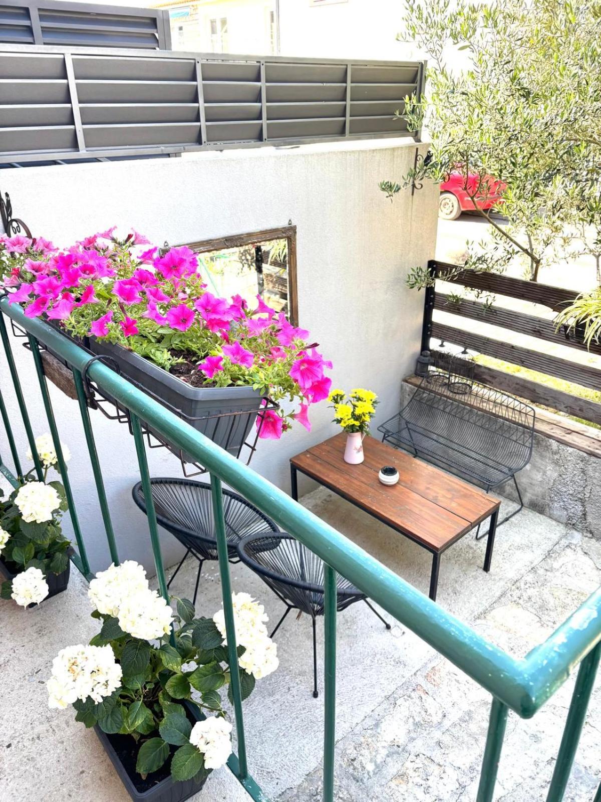 Holiday House Vida 비오그라드나모루 외부 사진